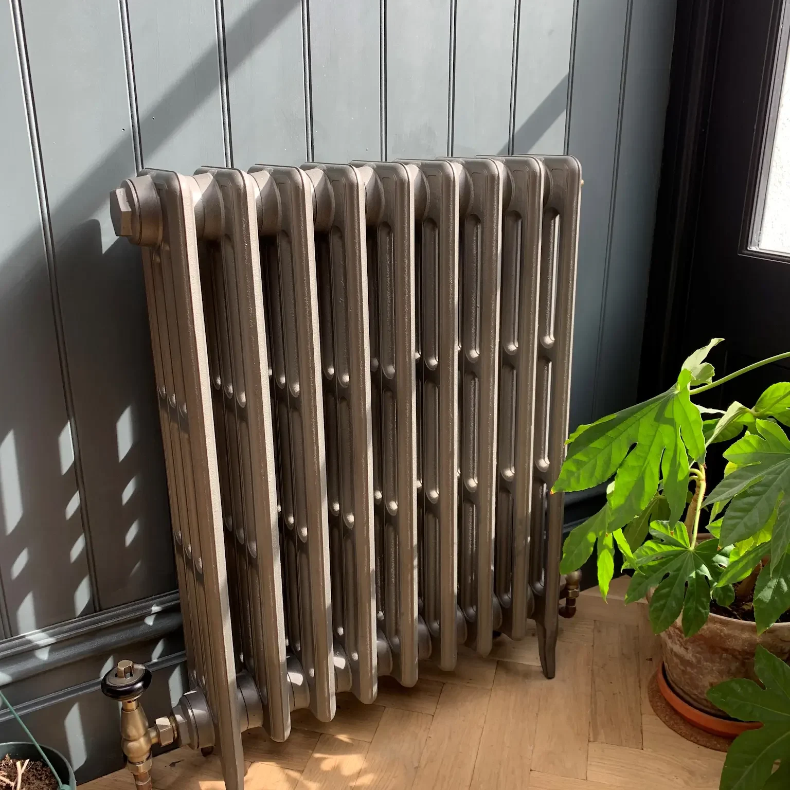 A vintage cast iron radiator is positioned against a wooden paneled wall, basking in sunlight. The metallic radiator has multiple columns and sits on a wooden floor. Nearby, a green potted plant adds a touch of nature to the scene.